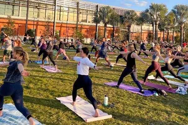 Barre with The Bar Method