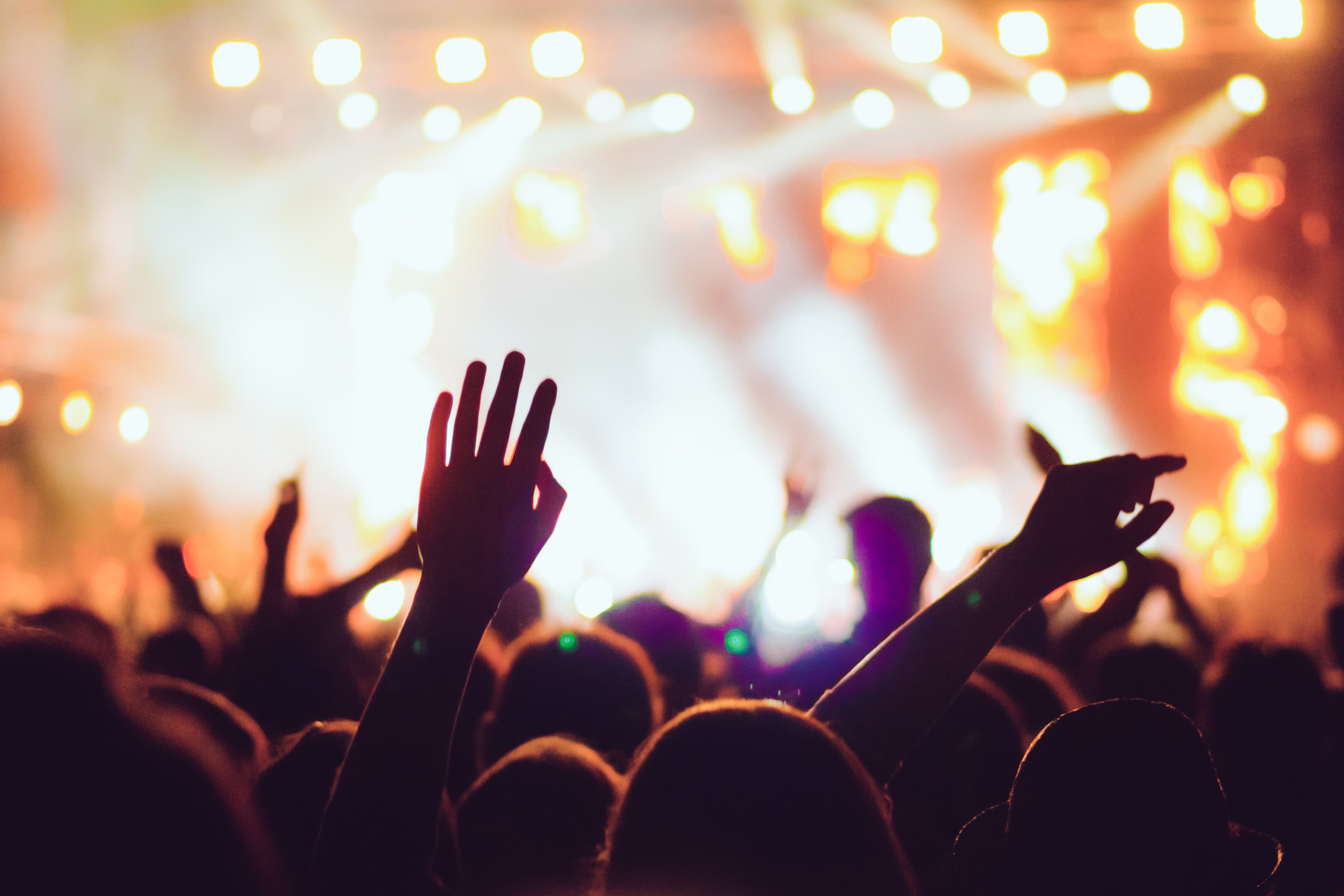 Crowd at a live event