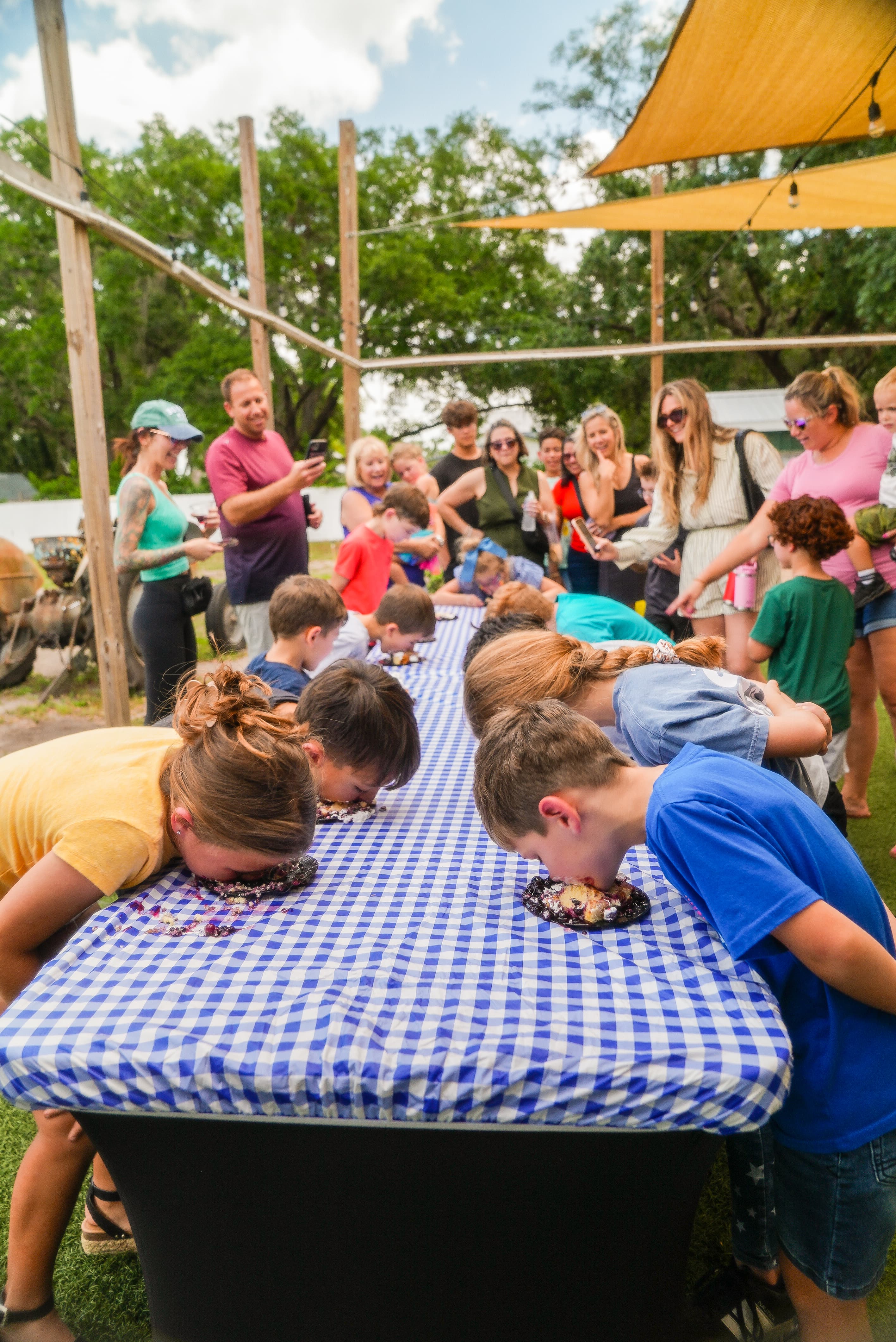 Keel Farms Blueberry Festival