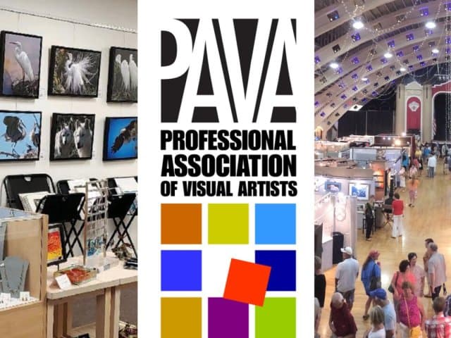 PAVA Cool Art Show