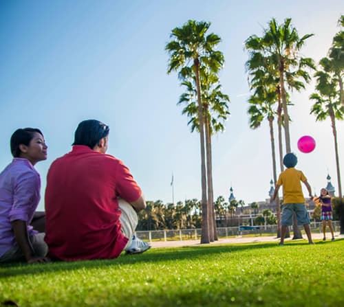 Curtis Hixon Waterfront Park